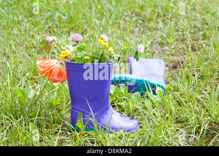 Wellingtons in spring rainy day on green grass Stock Photo