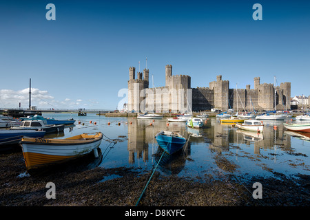 Looking across boats moored in the harbour towards Caernarfon Castle on a sunny spring day Stock Photo