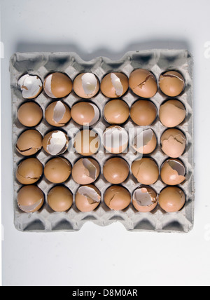A tray of thirty empty broken, brown chicken eggshells Stock Photo