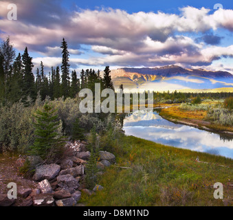 Magnificent morning in reserve in Canada Stock Photo