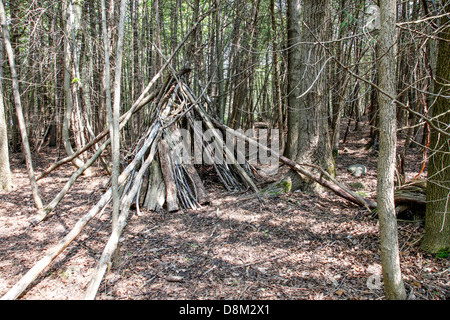 Indian (Native American) lean-to or shelter in the forest and woodlands for temporary protection. Stock Photo