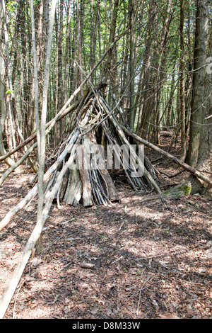 Indian (Native American) lean-to or shelter in the forest and woodlands for temporary protection. Stock Photo