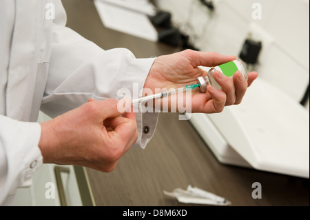 A veterinarian preparing an injection for a cat Stock Photo