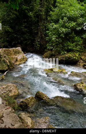 Creek leading up to the Kawasan Waterfalls in Badian on Cebu, Philippines Stock Photo