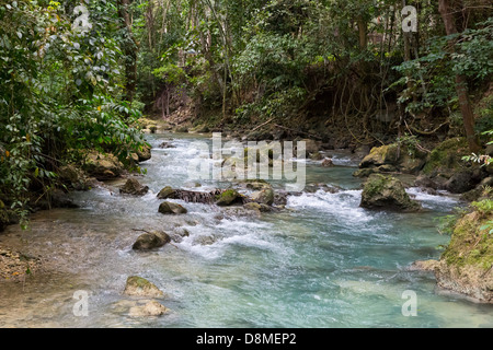 Creek leading up to the Kawasan Waterfalls in Badian on Cebu, Philippines Stock Photo