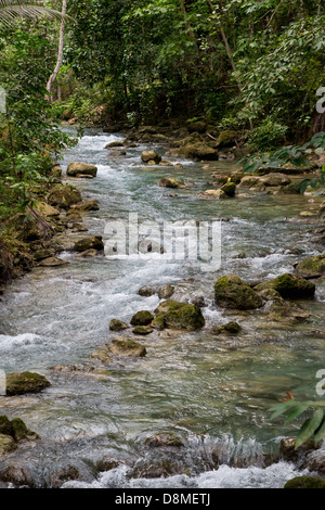 Creek leading up to the Kawasan Waterfalls in Badian on Cebu, Philippines Stock Photo