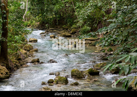 Creek leading up to the Kawasan Waterfalls in Badian on Cebu, Philippines Stock Photo