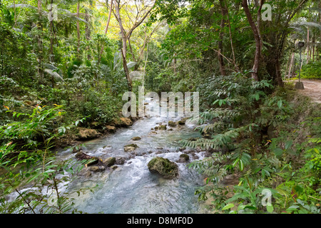 Creek leading up to the Kawasan Waterfalls in Badian on Cebu, Philippines Stock Photo