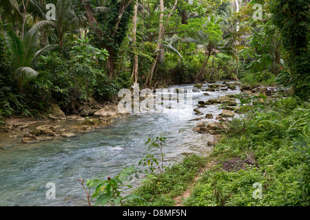 Creek leading up to the Kawasan Waterfalls in Badian on Cebu, Philippines Stock Photo