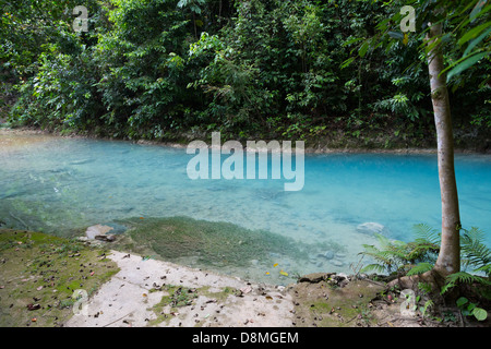 Creek leading up to the Kawasan Waterfalls in Badian on Cebu, Philippines Stock Photo