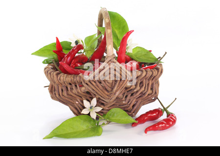 chili peppers Stock Photo