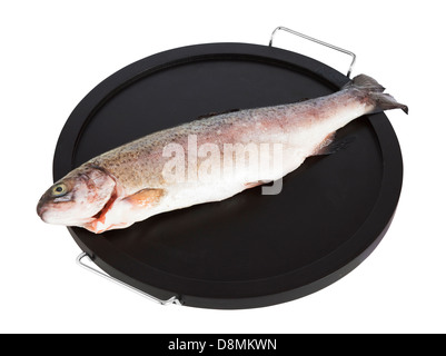 Trout on plate isolated with clipping path Stock Photo