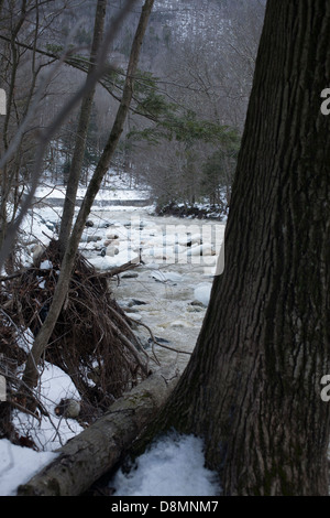 Spring thaw brings water and ice down the Cold River at Mohawk Trail State Forest along Rte 2 in Western Massachusetts. Stock Photo