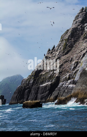 Little Skellig and its' gannet colony. Stock Photo