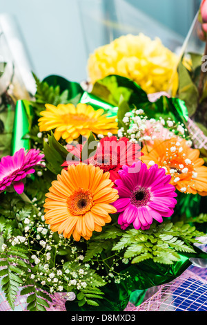 bouquet of red gerberas Stock Photo