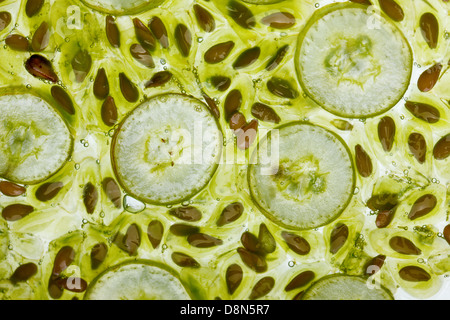 Kiwano and Grapes Stock Photo