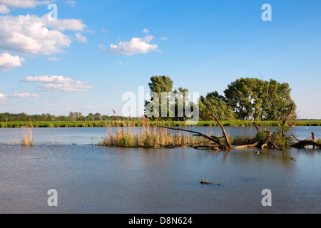 Dam on the Little Danube - Slovakia Stock Photo