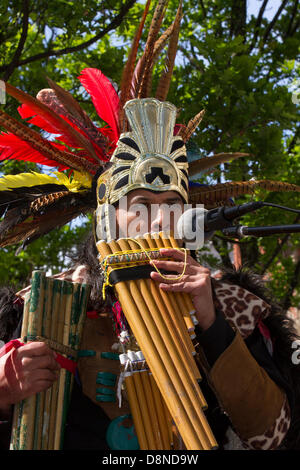 Manchester, UK. 1st June 2013. Sergio Fistely (MR) a street entertainer in Aztec Indian Native American costume and feather headdress in Manchester Piccadilly enjoying the varied attractions of the city centre with Peruvian buskers, costumed street muscians, playing musical accompaniment.  Pan flutes, panpipes, syrinx, flute are a group of musical instruments based on the principle of the closed tube, consisting of multiple pipes gradually increasing length.  Multiple varieties of panflutes have long been popular as folk instruments. The wooden pipes are typically made from bamboo, or cane. Stock Photo