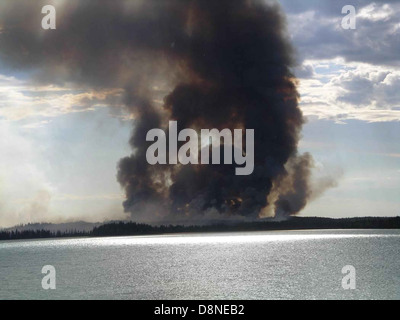 A dramatic image of thick black smoke rising from a large forest fire. The smoke billows into the sky, signaling the intensity of the blaze in a forested area. Stock Photo