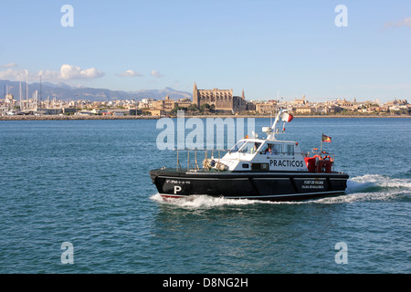 Port Pilot Service (PRACTICOS) launch returning to port past historic Palma Gothic Cathedral - in the Port of Palma de Mallorca Stock Photo