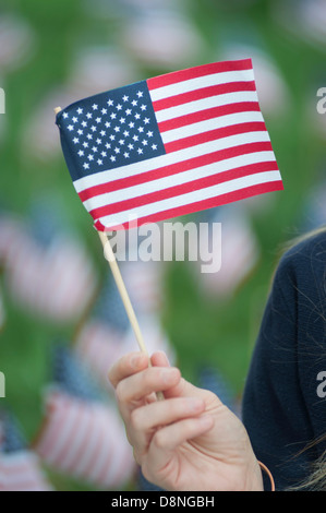 Hand holding United States flag in front of field of flags. Stock Photo