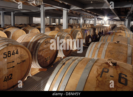 Rows of wooden cognac barrels in cellar Stock Photo