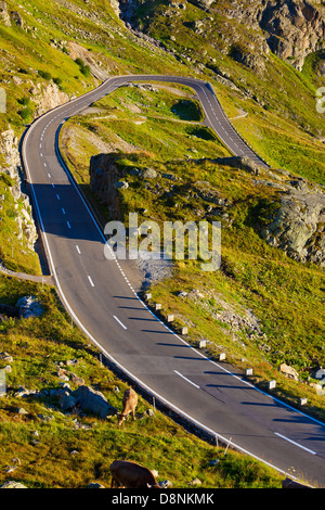 Road in Alps Swiss mountains. Stock Photo