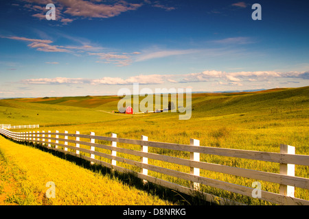 Sunset over red barn in Palouse region, Washington, USA. Stock Photo