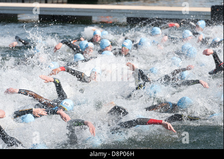 Open water swimming male competitors sprinting at start of a triathlon in freshwater wearing wetsuits crawl deep start freestyle Stock Photo