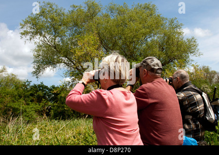 Bird spotters at Paxton Pits Nature Reserve, Cambridgeshire, England, UK Stock Photo