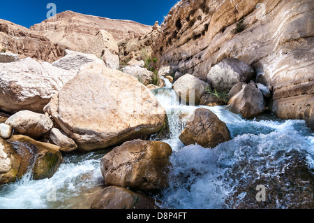 Water flows through the Western Jordan in Wadi Hasa Stock Photo