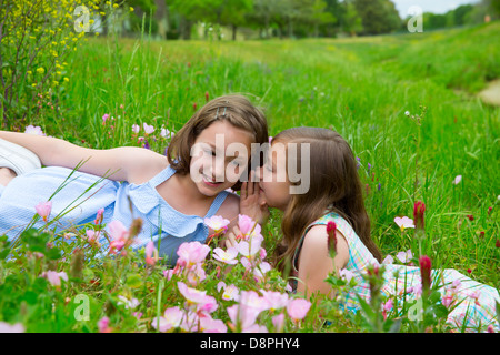 twin sisters friends whispering ear on spring poppy flowers green meadow Stock Photo