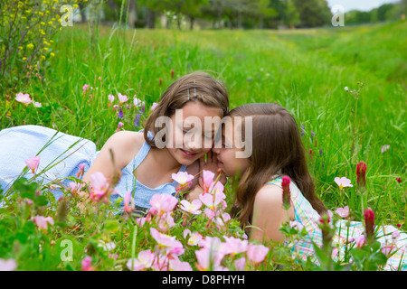 twin sisters friends whispering ear on spring poppy flowers green meadow Stock Photo