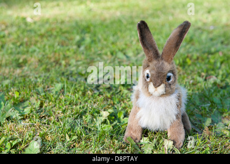 Stuffed rabbit sitting on grass Stock Photo