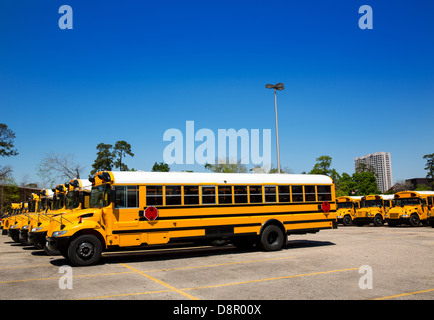 American typical school buses in a row in a parking lot Stock Photo