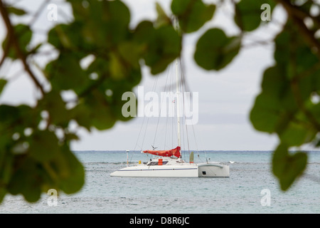 Punta Poppy, Dominican Republic. Stock Photo