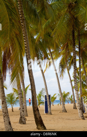 Punta Poppy, Dominican Republic. Stock Photo