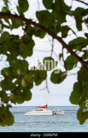 Punta Poppy, Dominican Republic. Stock Photo