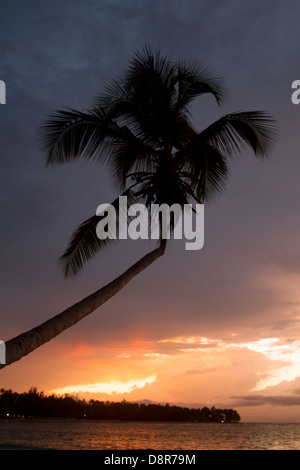 Sunset in Punta Poppy beach, Dominican Republic. Stock Photo