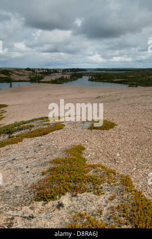 Tundra landscape at The Barrenlands, near Whitefish lake, Northwest Territories, Canada. Stock Photo