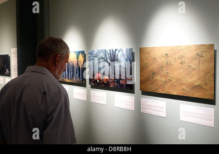 A visitor looking at a wildlife photography exhibition in Eretz Israel Museum a historical and archeological museum in the Ramat Aviv neighborhood of Tel Aviv Israel Stock Photo