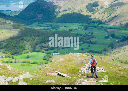 A female hiker walking down from the summit of Glaramara towards Thornythwaite Fell in the Lake District. Stock Photo