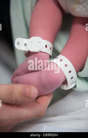 Feet of a new born baby on a hospital ward. 2 hours old. Stock Photo