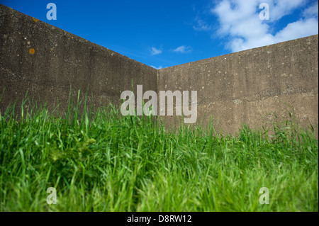 a 'gate fold' concrete wall is surrounded by natures colours. Stock Photo