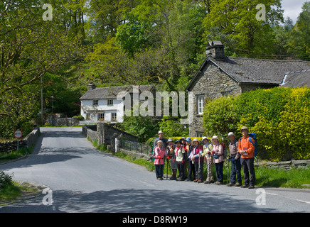 Japanese visitors walking through the village of Elterwater, Langdale, Lake District National Park, Cumbria, England UK Stock Photo