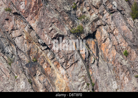 A detail view of the granite cliff face of Mazinaw Rock on Mazinaw Lake, Bon Echo Provincial Park, Ontario, Canada. Stock Photo