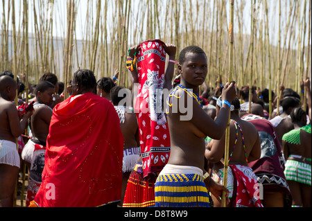 Zulu Reed Dance at eNyokeni Palace, Nongoma, South Africa Stock Photo ...