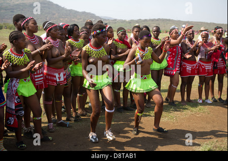 Zulu Reed Dance at eNyokeni Palace, Nongoma, South Africa Stock Photo