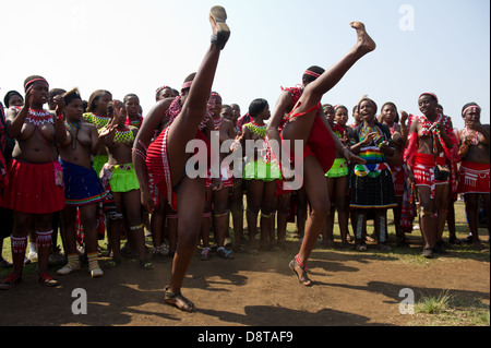 Zulu Reed Dance at eNyokeni Palace, Nongoma, South Africa Stock Photo