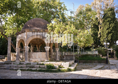 Plane tree of Hippocrates on Platia Platanou in Kos, Greece Stock Photo